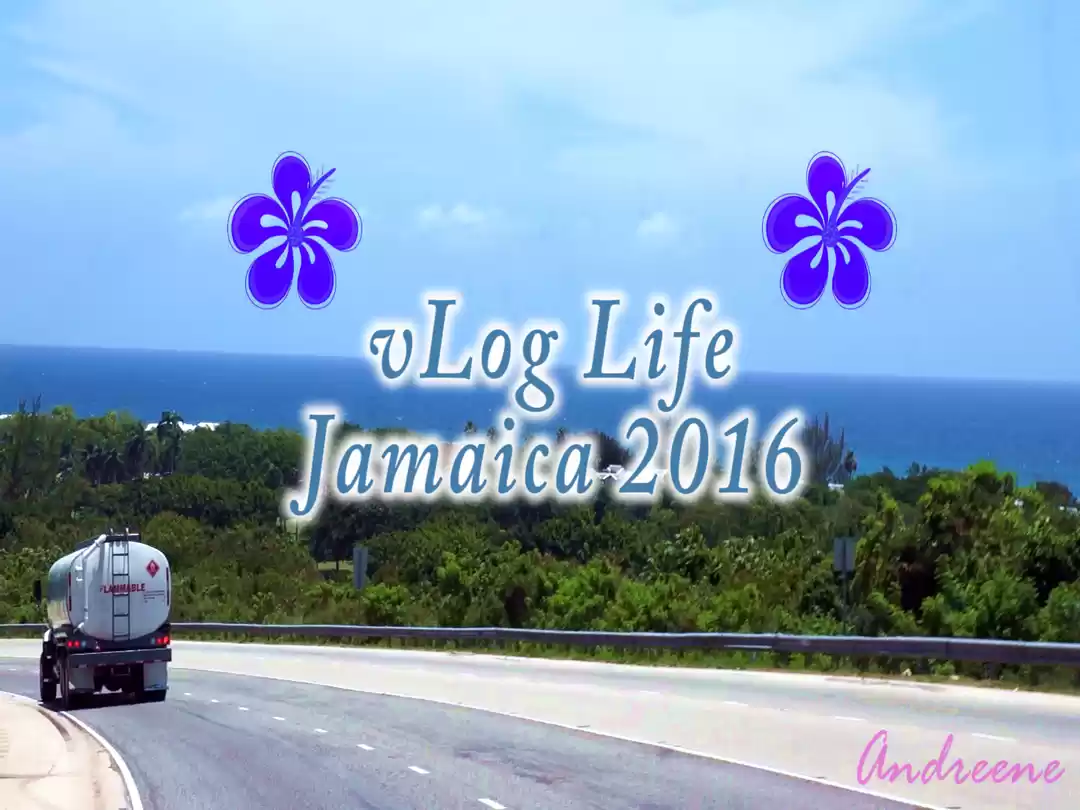 Photo of Climbing Water Falls