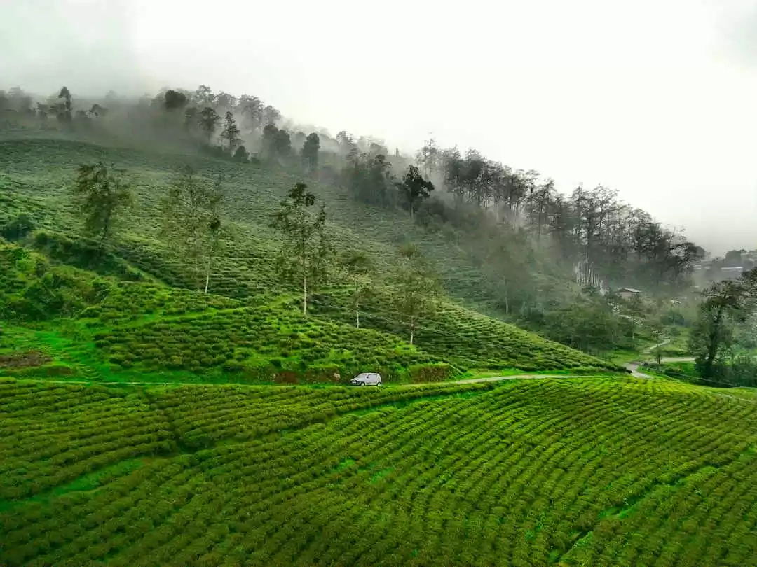 Photo of Another World - Sout