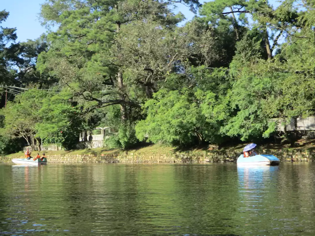 Photo of When North East Call