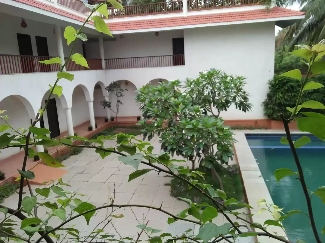 Photo of Bougainvillea Resort