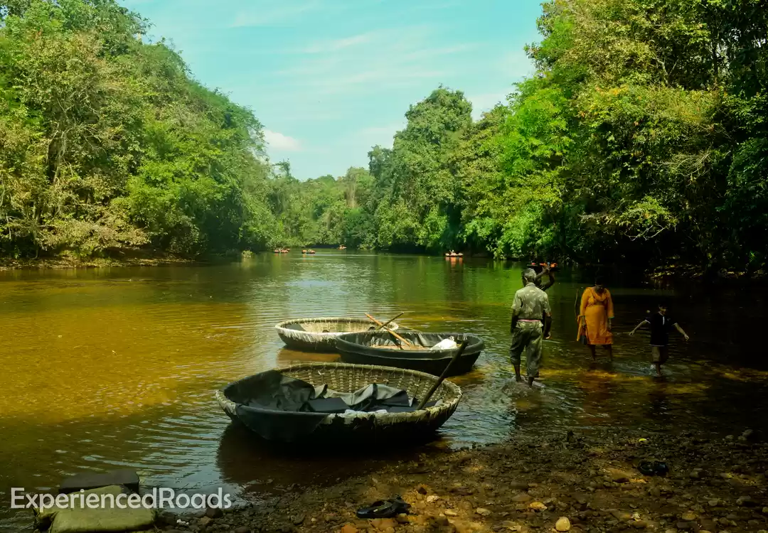 Photo of Rove along the Konni