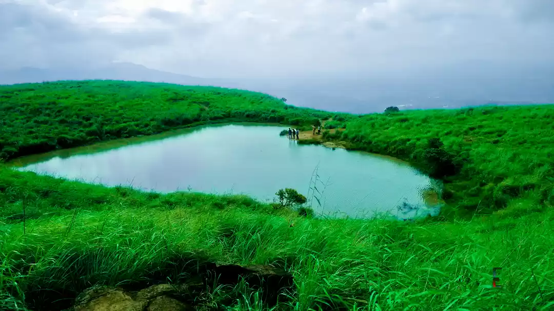 Photo of Journey to the Green