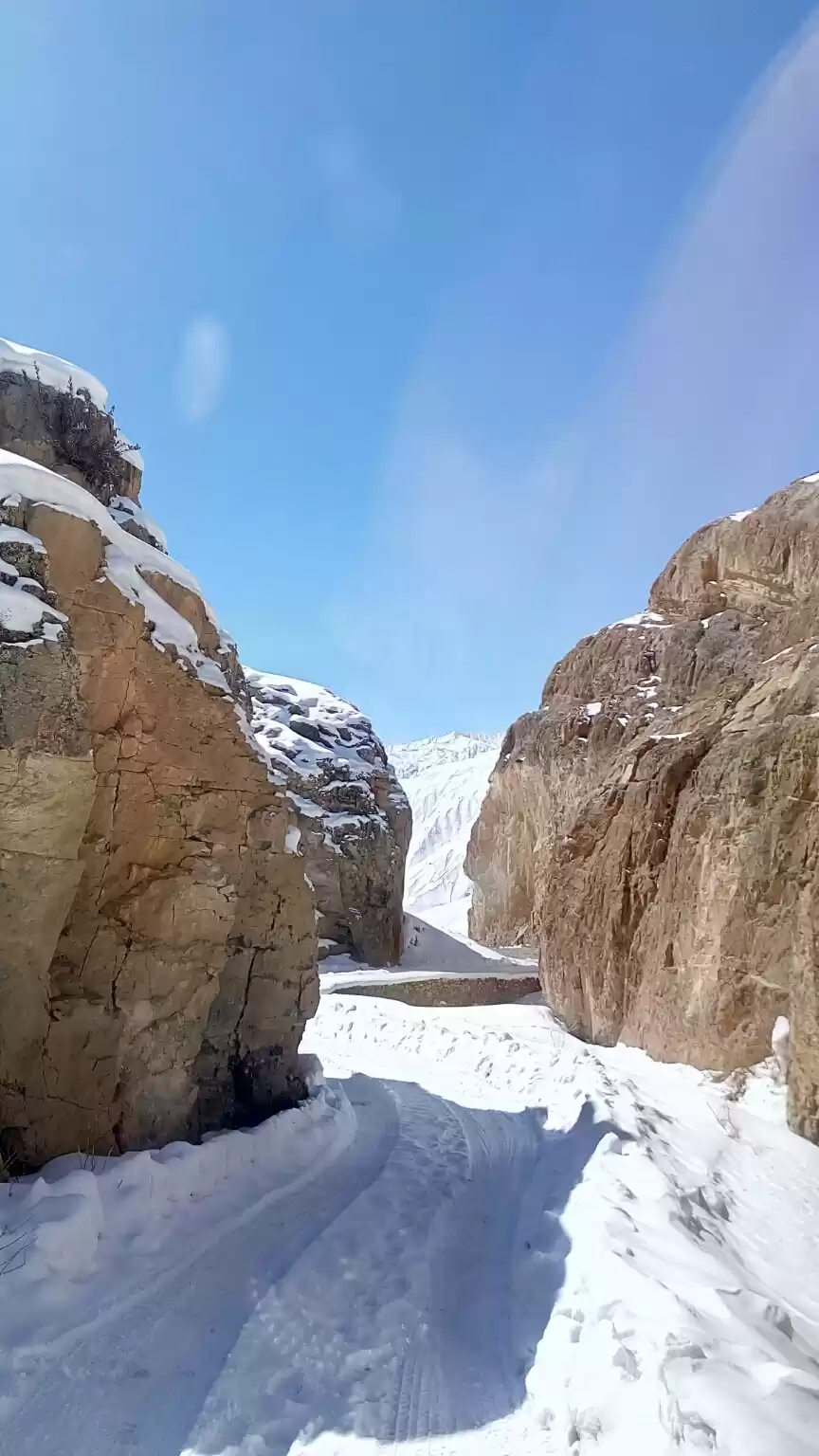 Photo of Snow Leopard Expedit