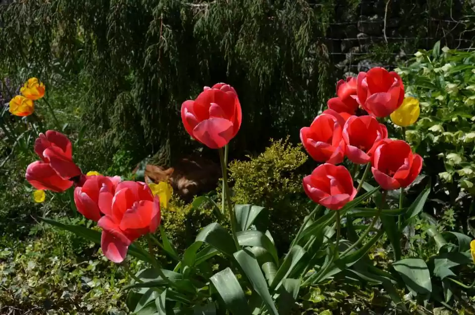 Photo of Lake District