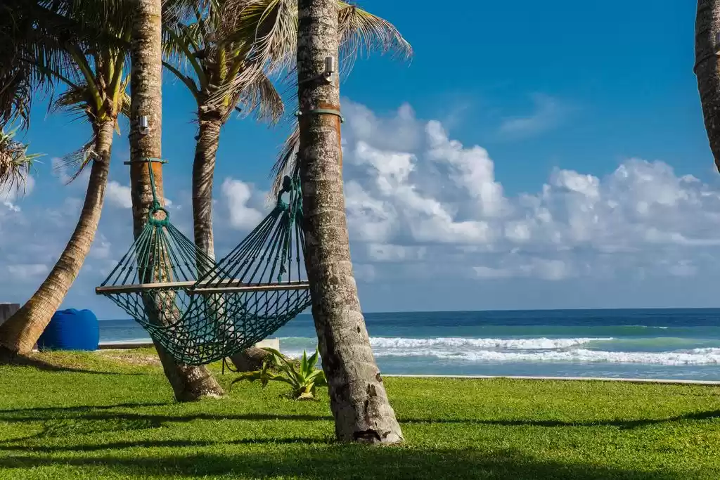 Photo of "Sri Lanka Odyssey: 