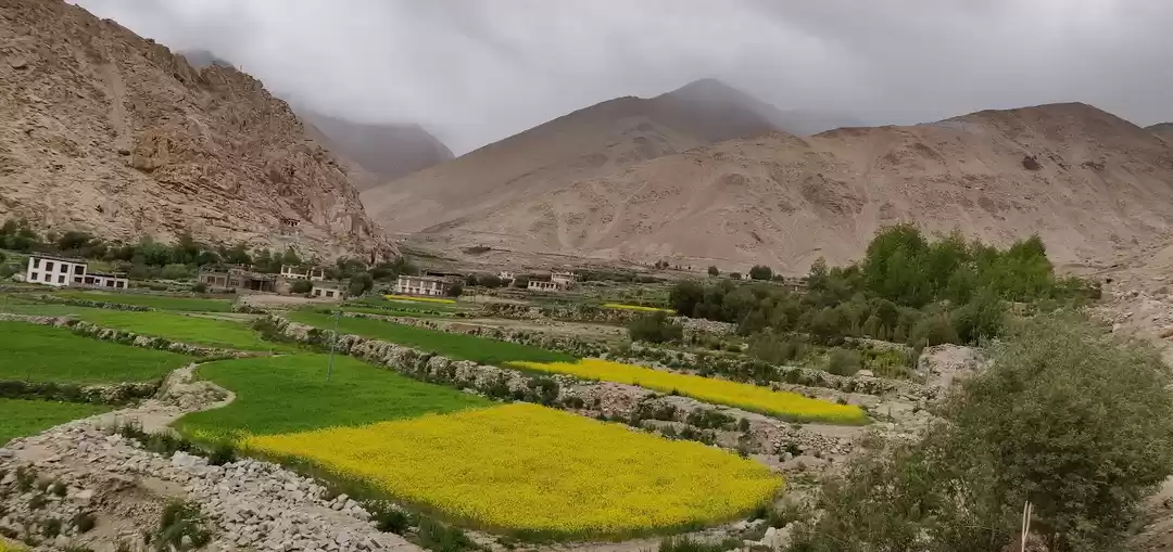 Photo of Experience Tranquili