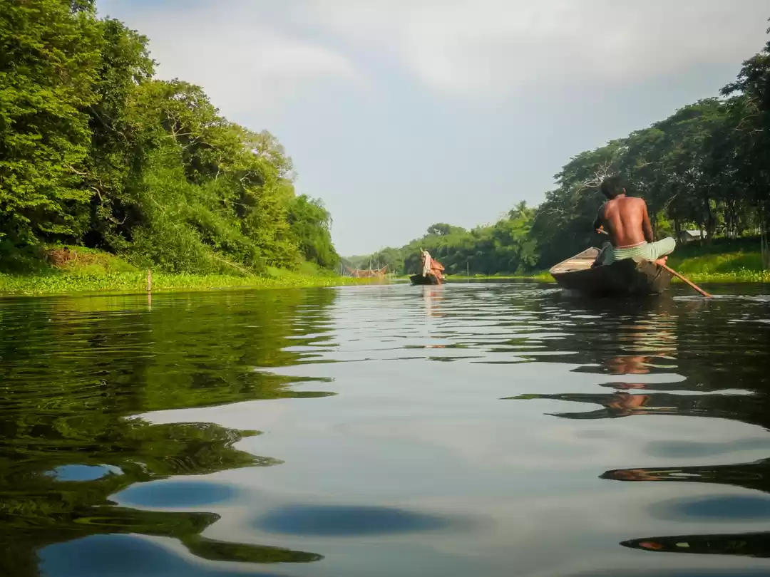 Photo of Parmadan: sleep peac