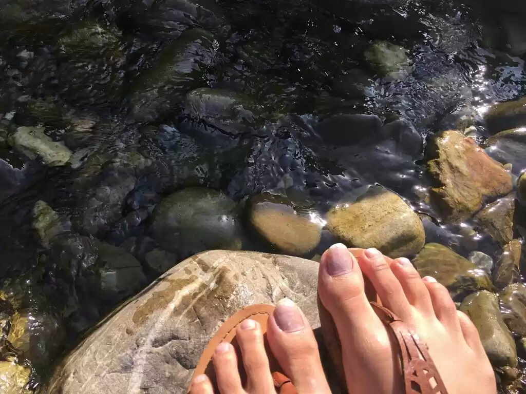 Photo of Wildlife and lakes;