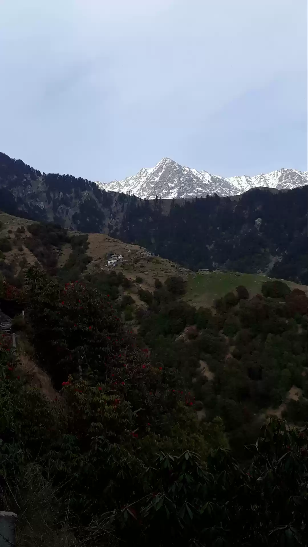 Photo of Cramps and camping.