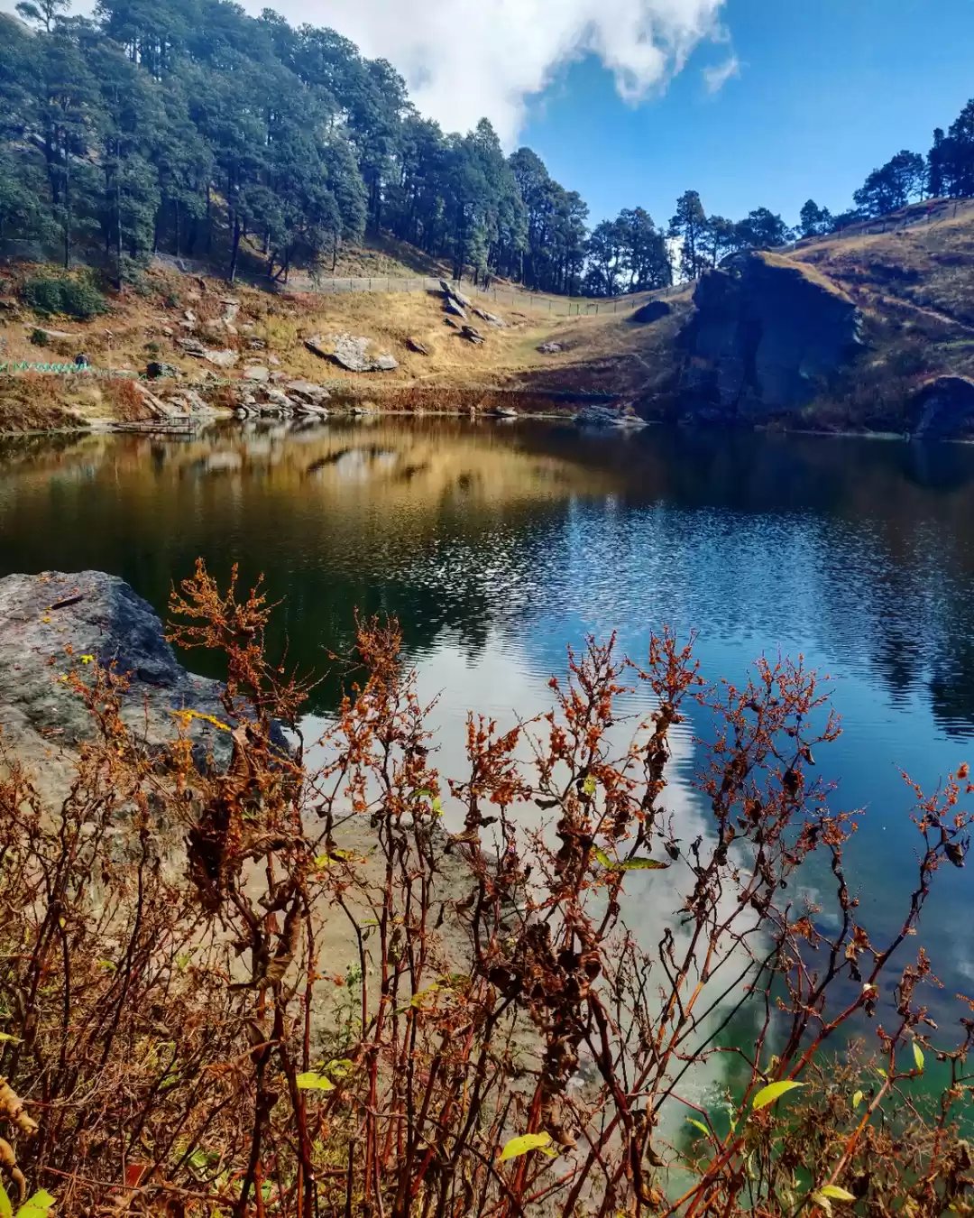 Photo of Heidi in Himachal: J