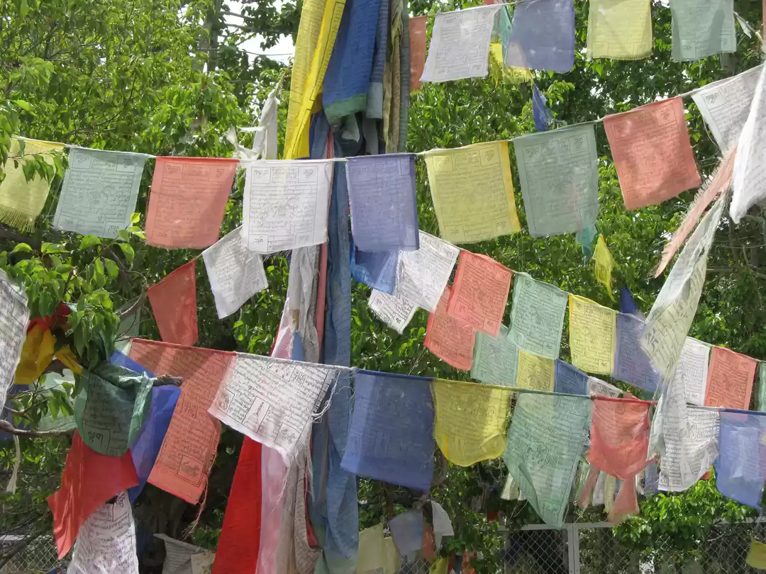 Photo of White peaks, blue la