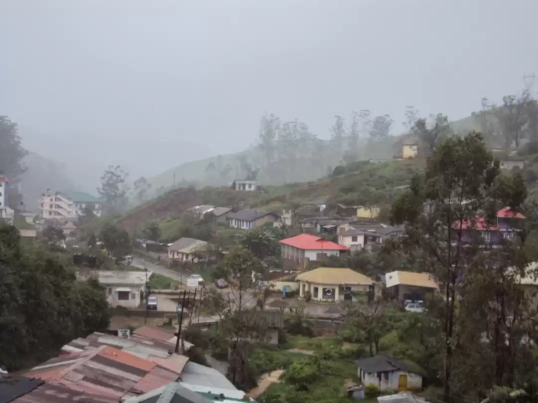 Photo of Munnar & Kochi - Rol