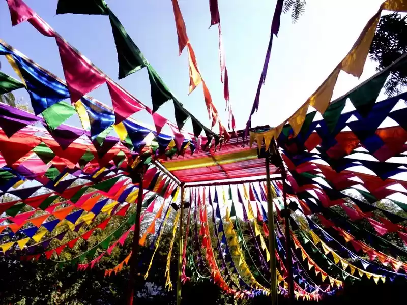 Photo of Witness North India 