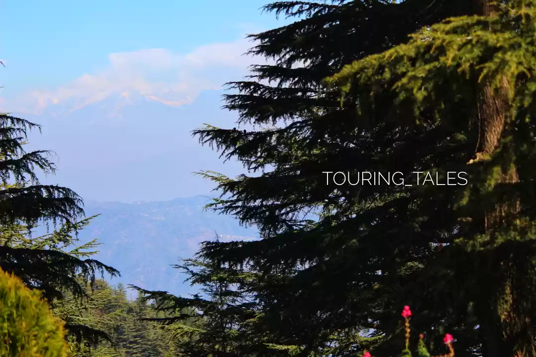 Photo of Travel to Rejuvenate