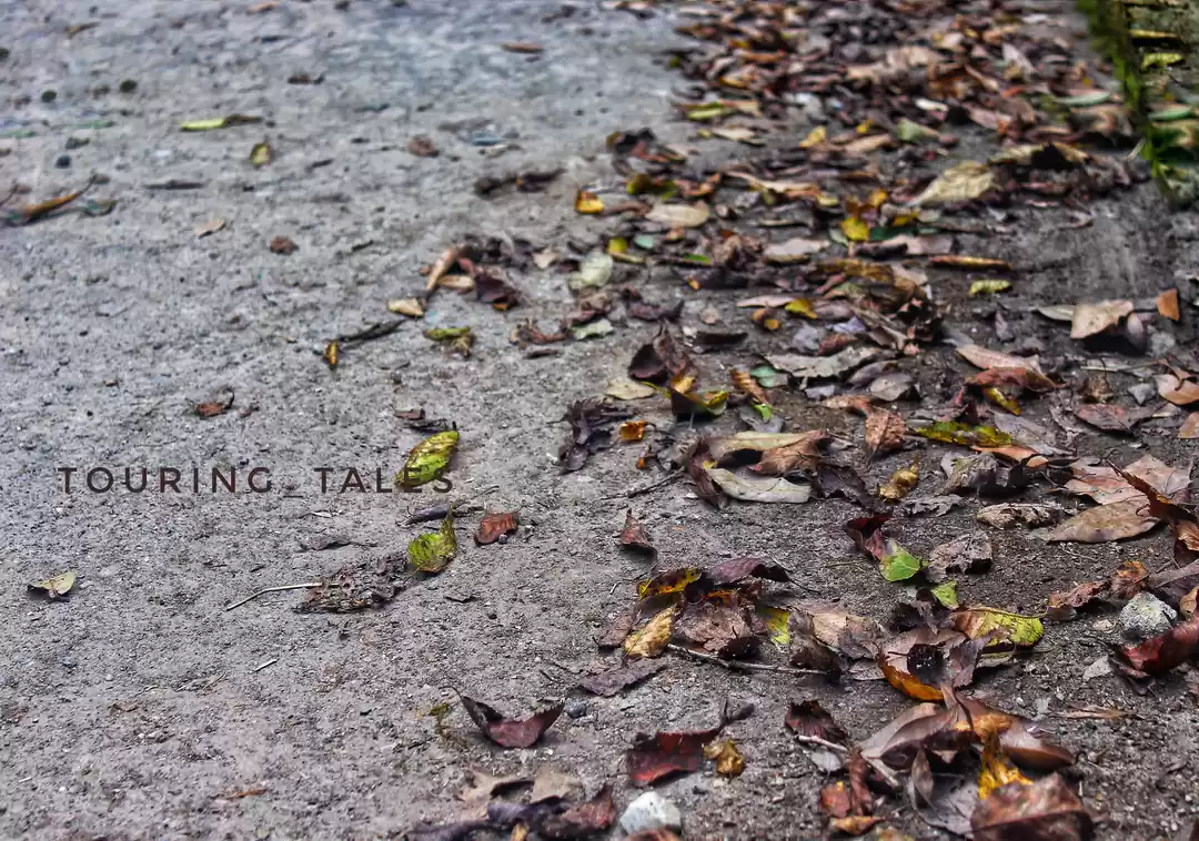 Photo of My Photo blog to Pan