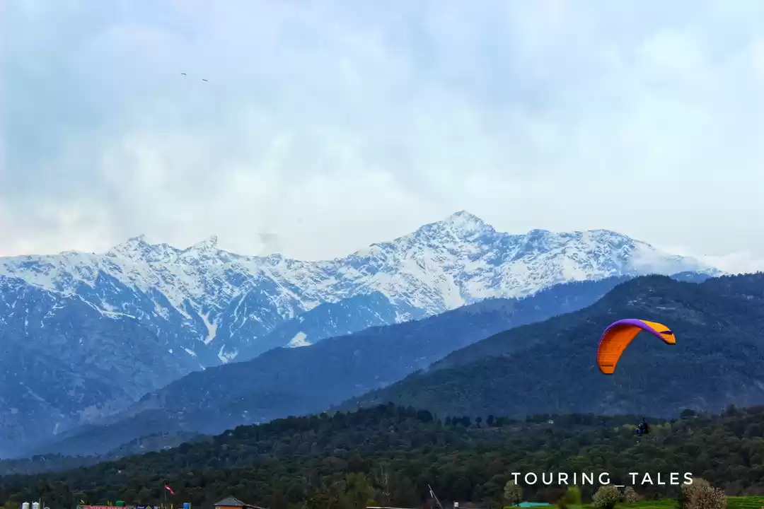 Photo of Flying high at Bir #