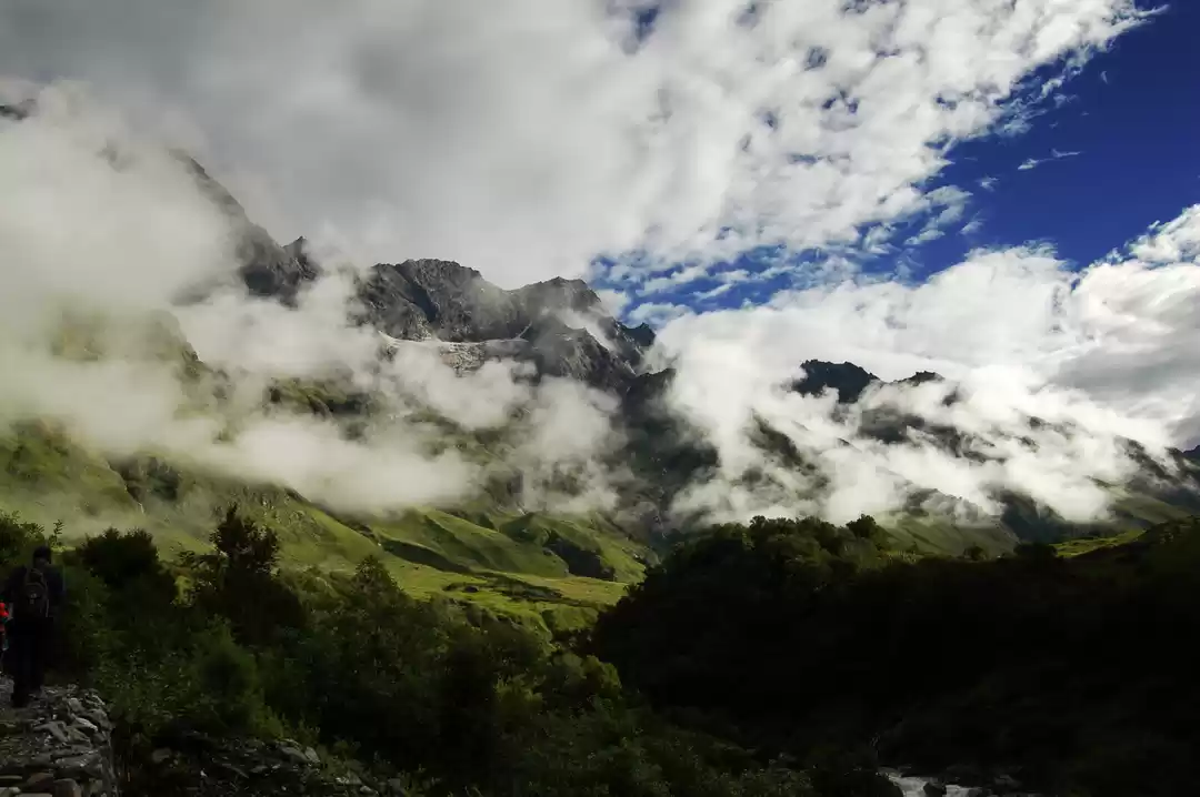Photo of The Valley of Flower