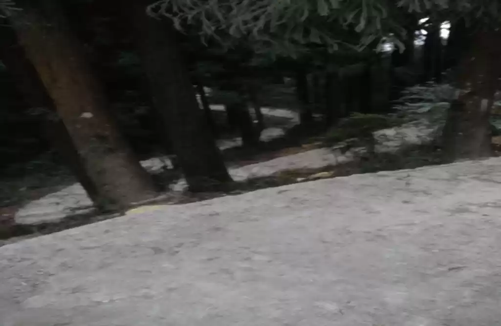 Photo of Sandakphu – The inau