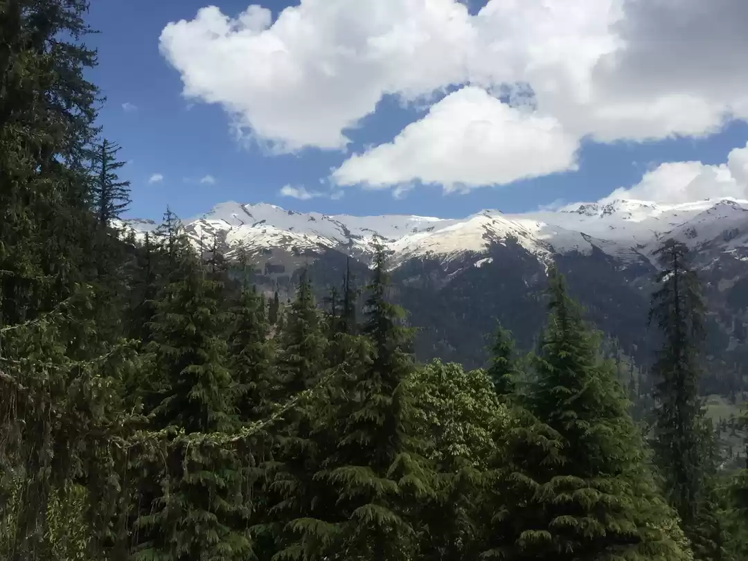 Photo of A roadtrip to Shimla