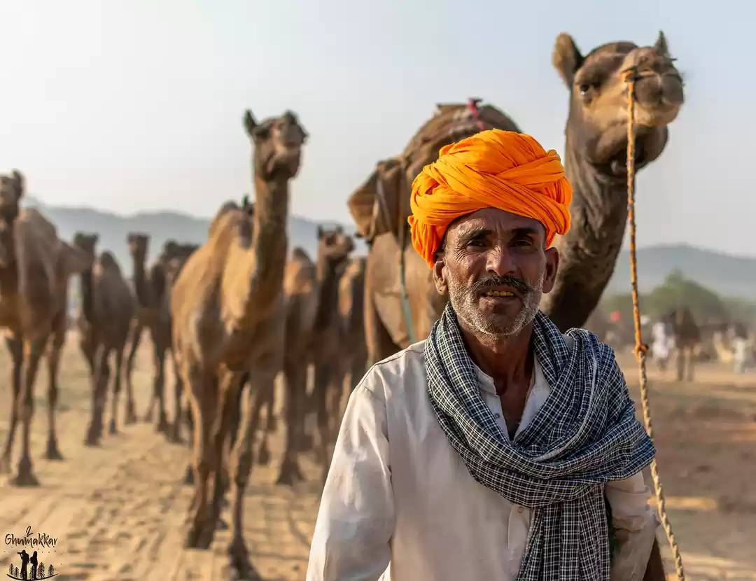 Photo of Pushkar Mela : An Ex