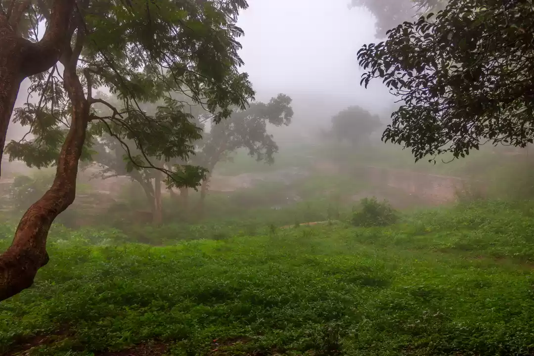 Photo of Nandi Hills...Silico