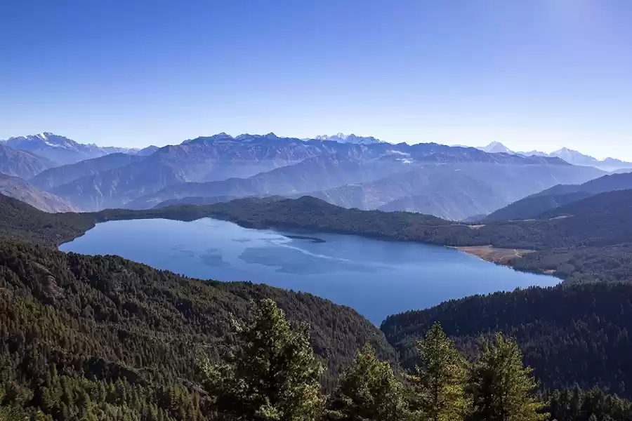 Photo of The Magic of Rara: A