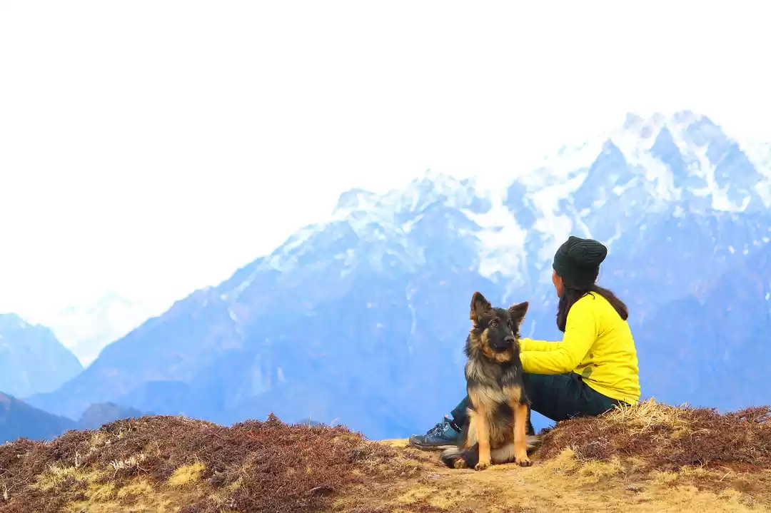 Photo of Troy goes on a road