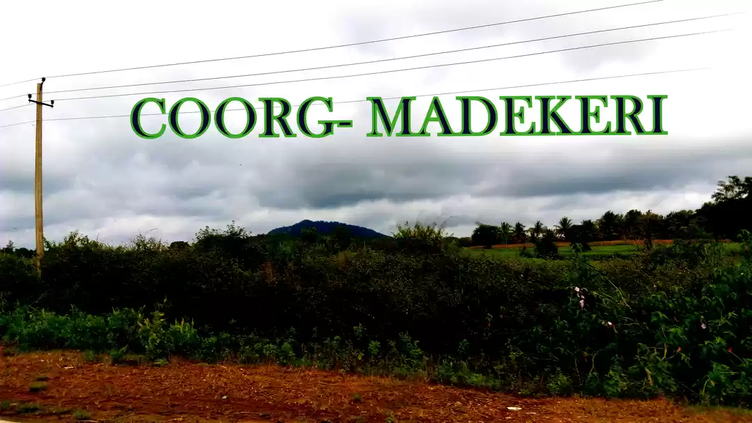 Photo of The Hive of Activity