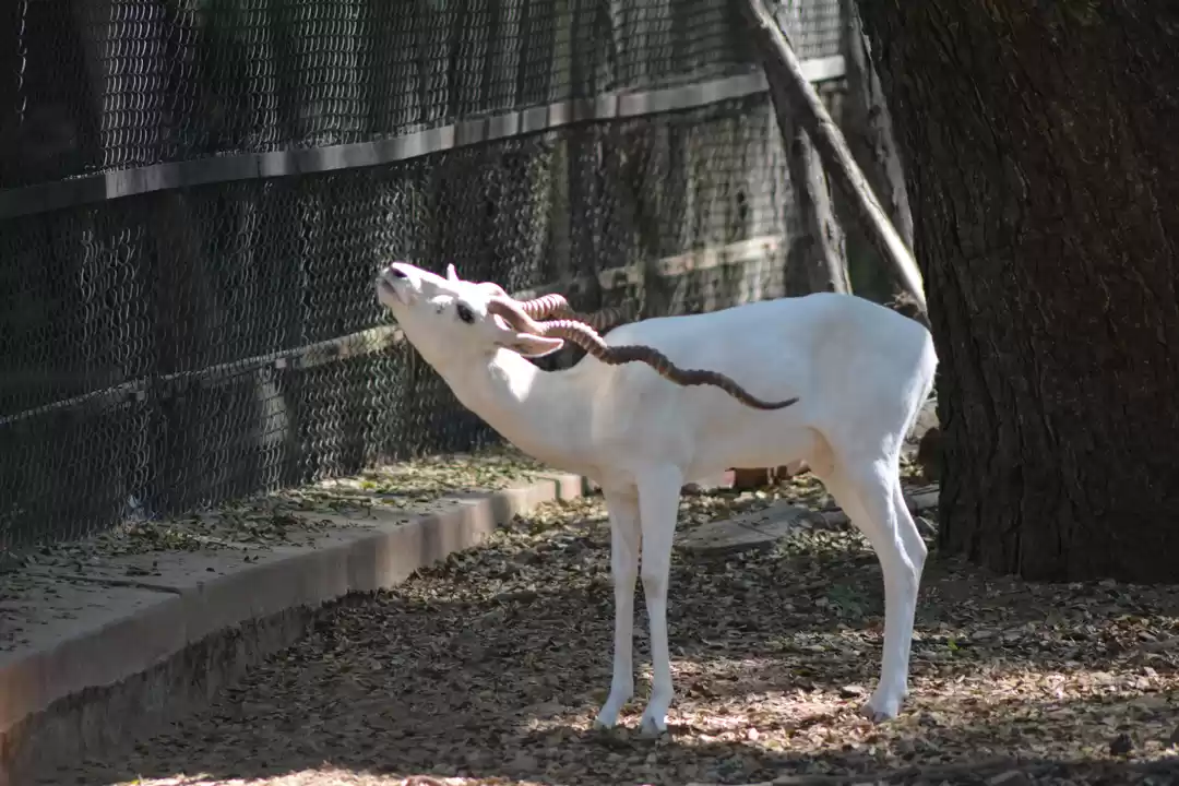 Photo of Exploring MYSORE in 