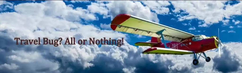 Photo of Travel Bug- All or N