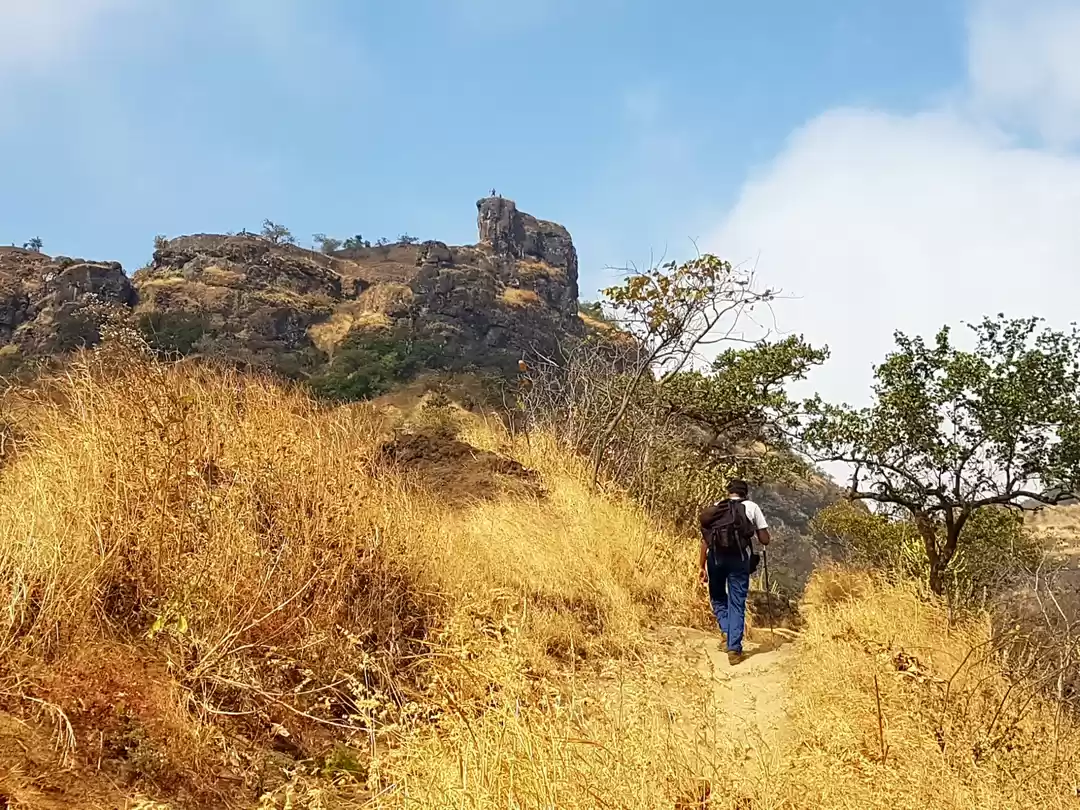 Photo of Exploring sahyadris 