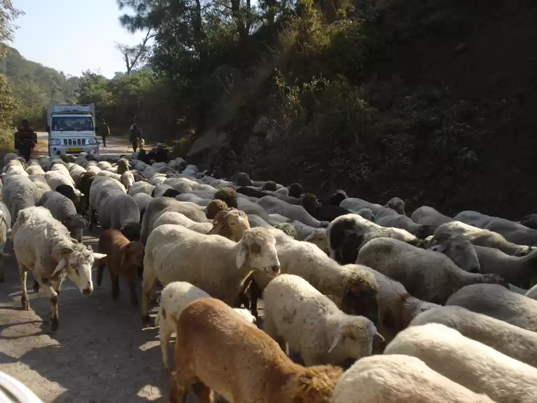 Photo of A few days in Himach