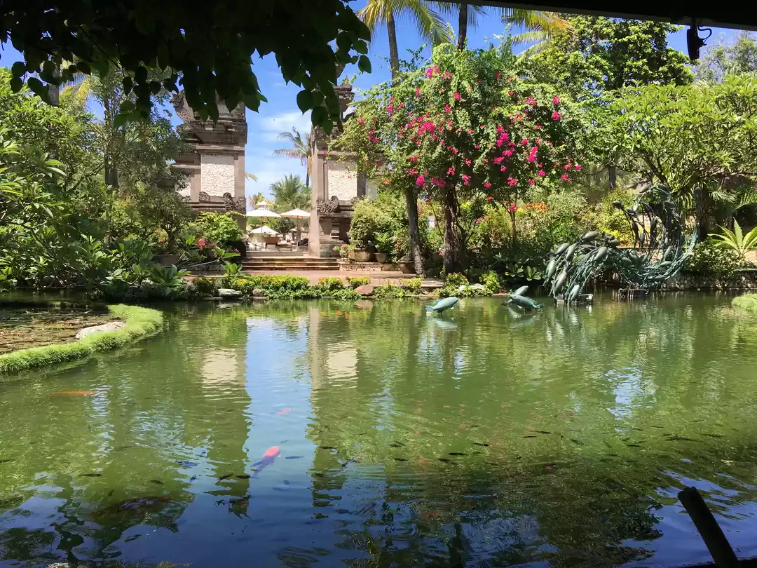 Photo of The best guide to Ba