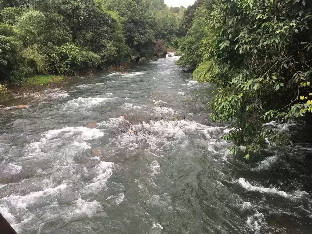 Photo of What my experience o