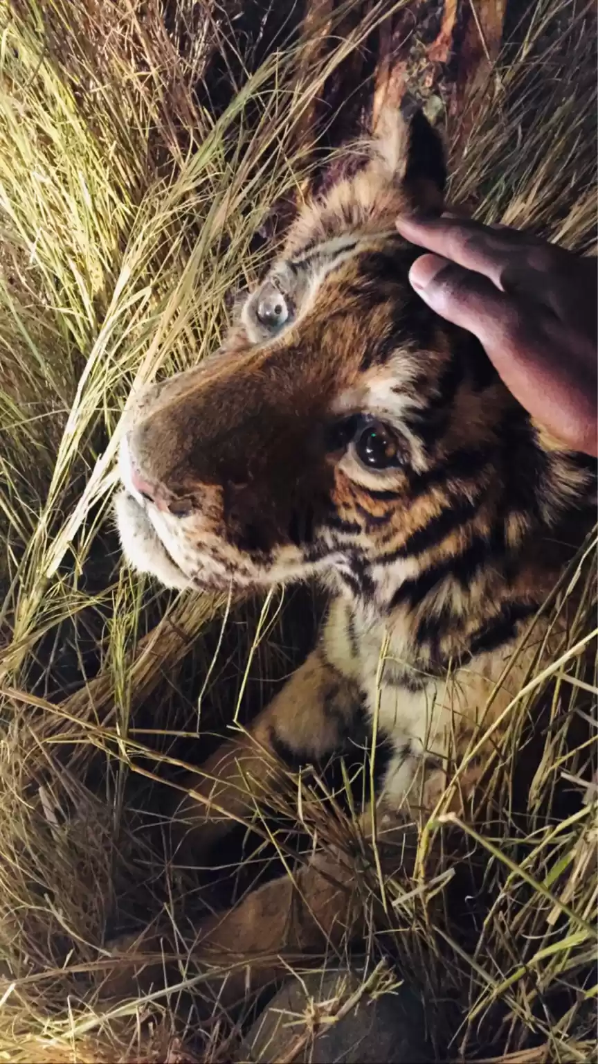 Photo of I Visited Jim Corbe