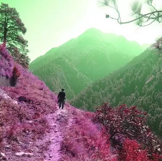 Photo of Parvati valley : A d