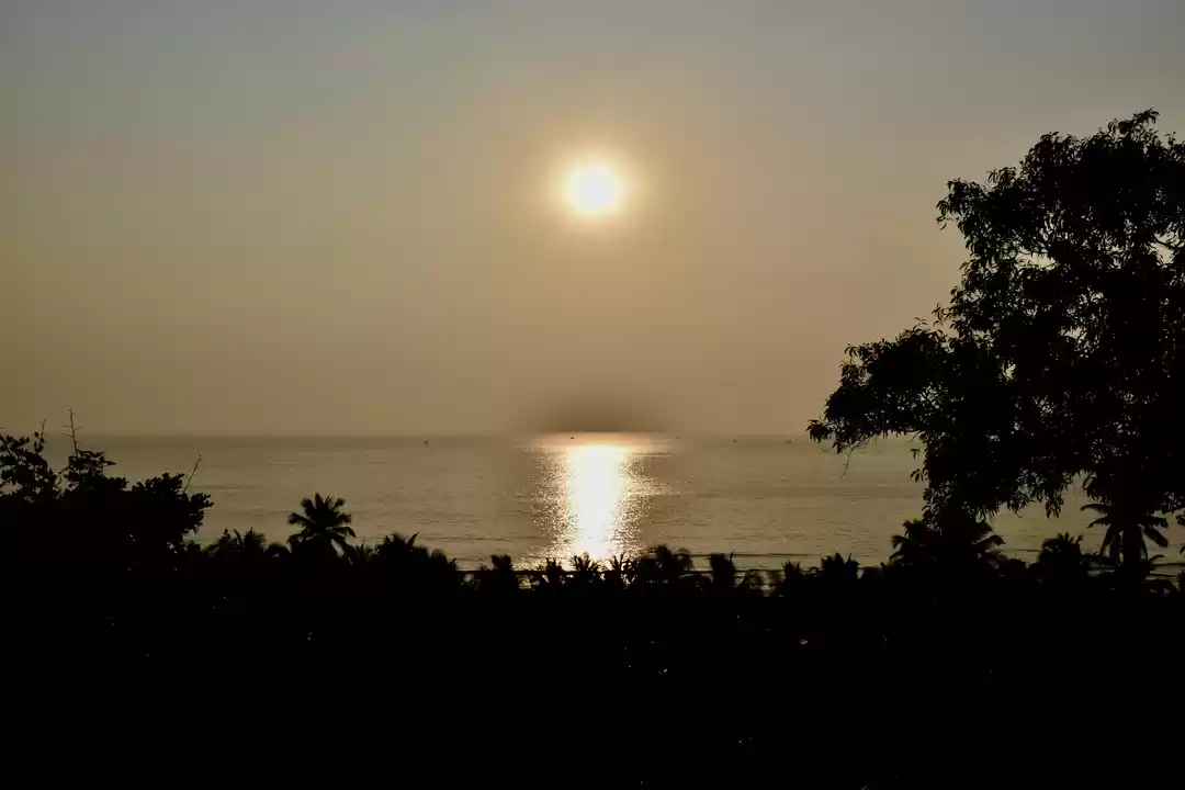 Photo of Exploring Konkan: Ve