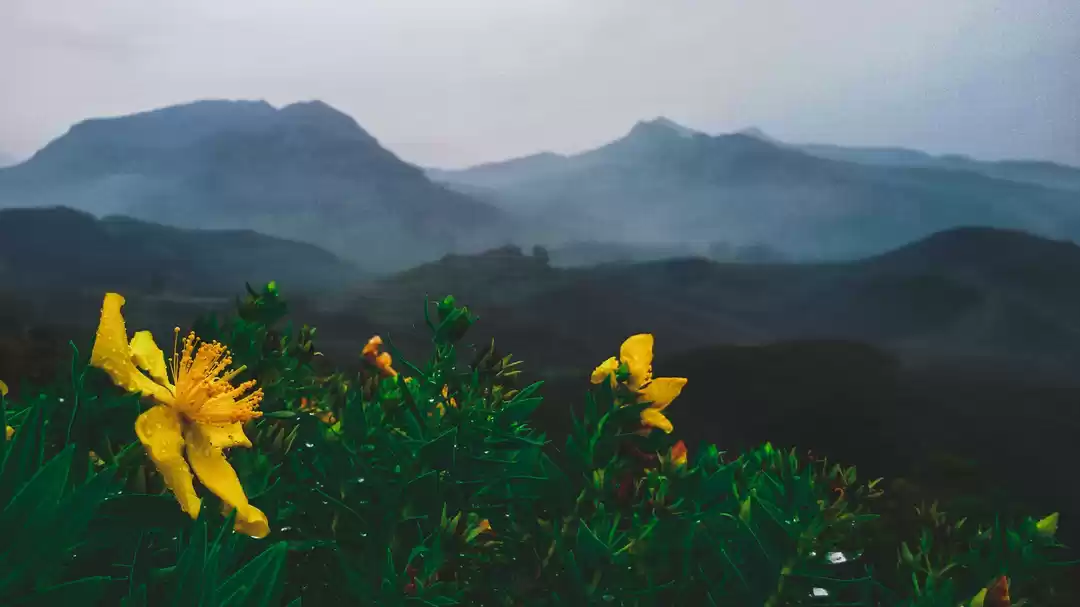 Photo of That's Why Kerala is