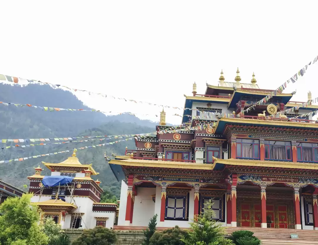 Photo of If Life is taking a 