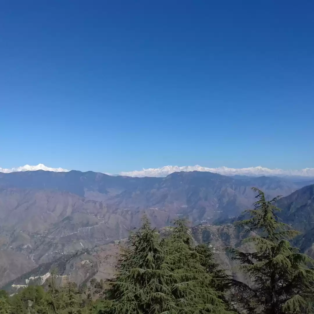 Photo of Don't miss out on La