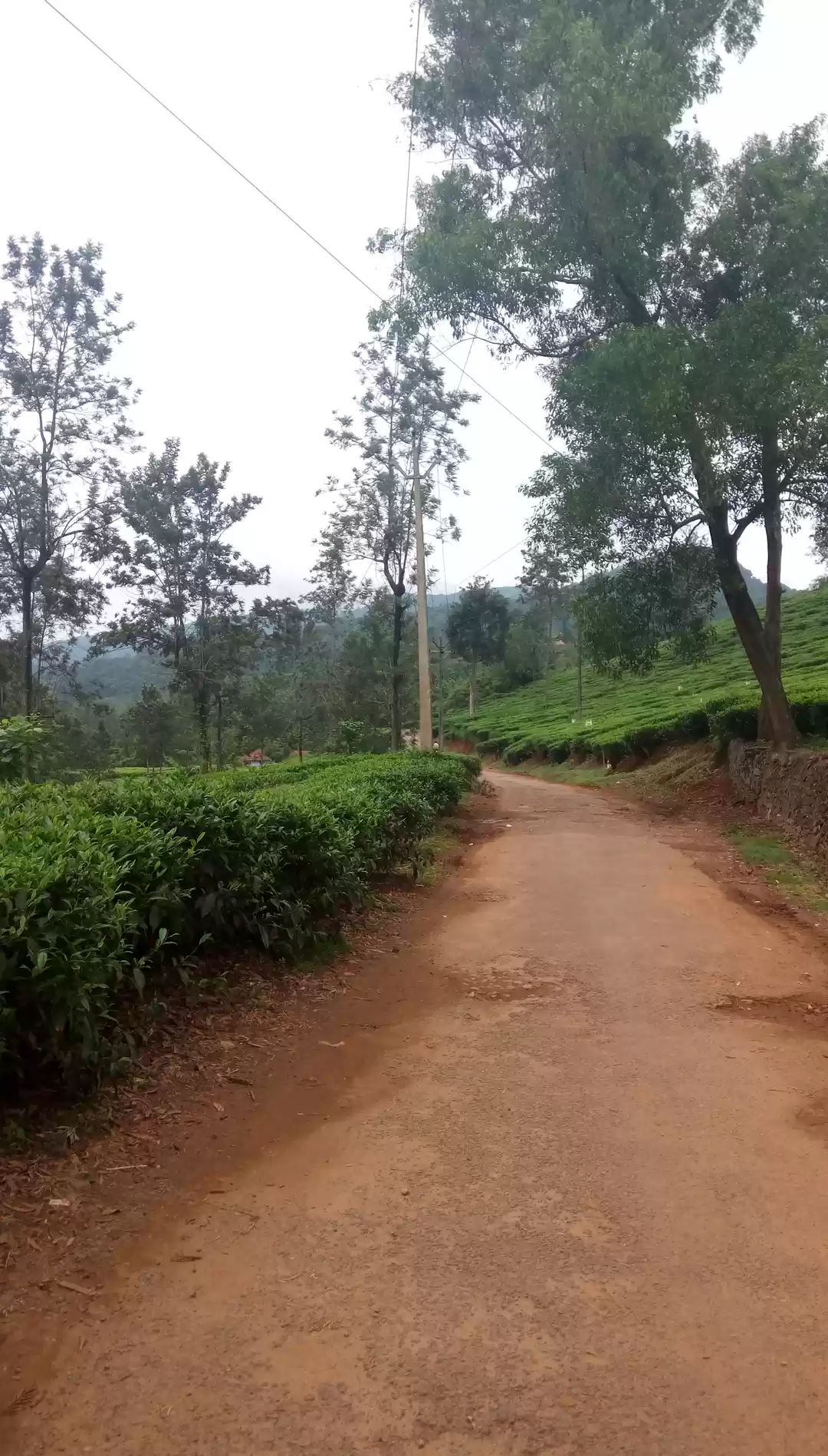 Photo of A Treat From The Nat