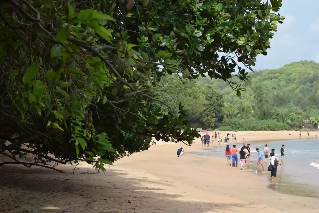 Photo of Sand of Times, Gokar