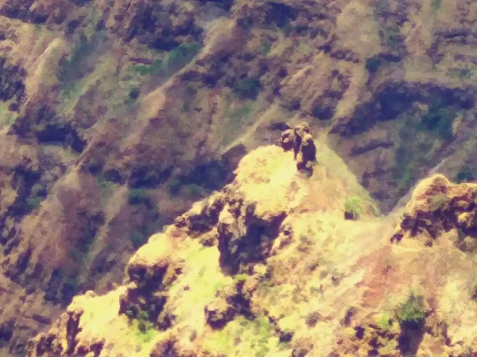 Photo of Mahabaleshwar : Cert