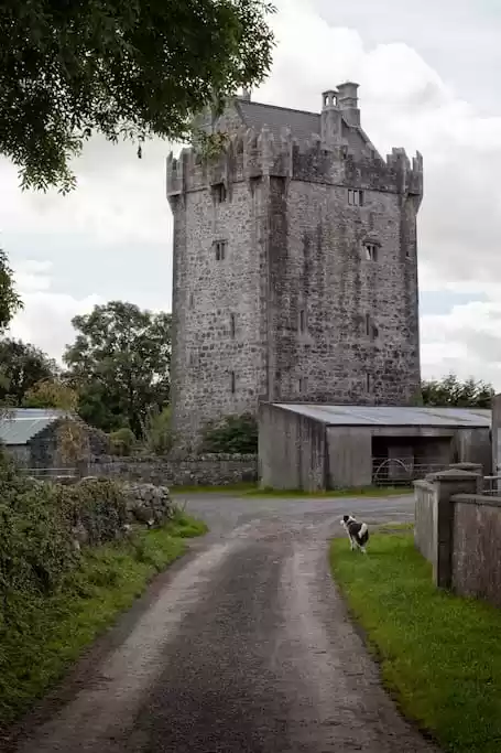 Photo of Live in a Castle wit