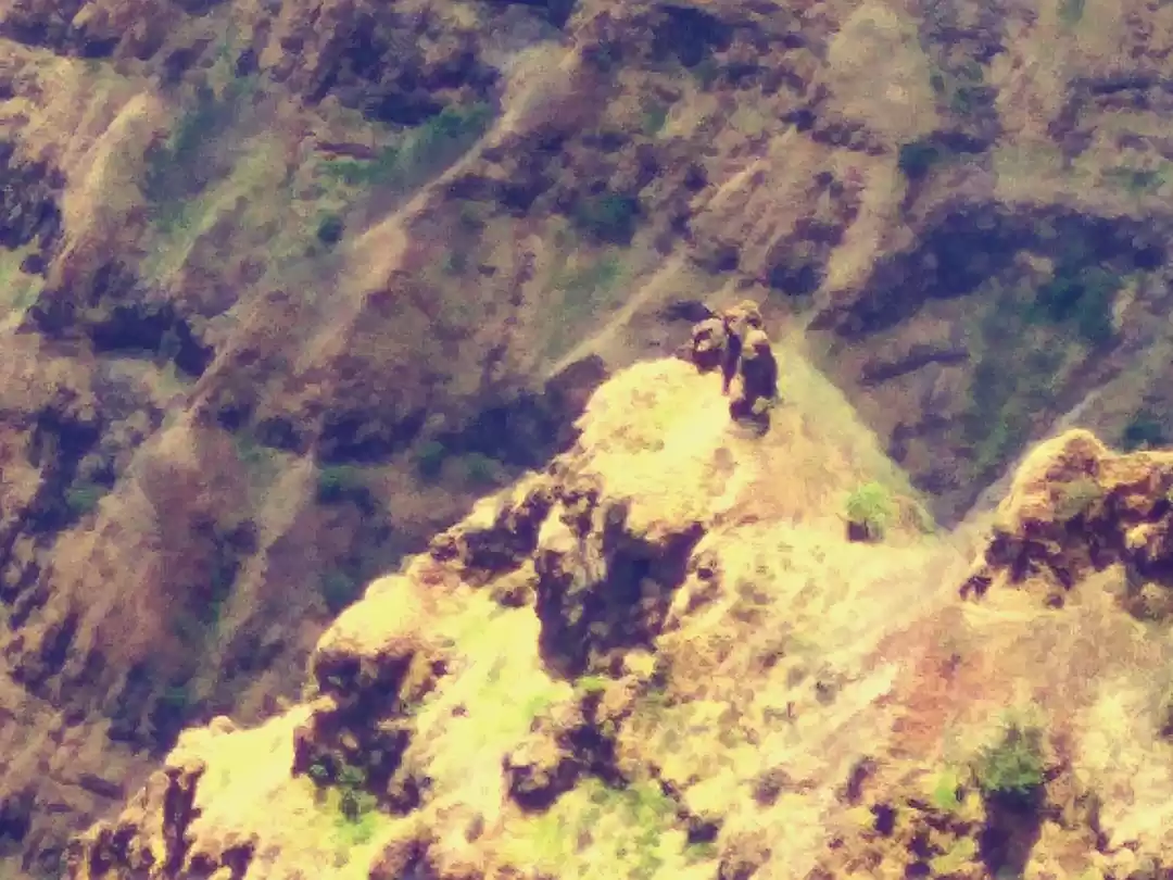 Photo of Instead of going to 