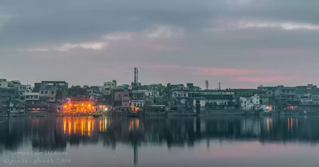 Photo of Riots of Colors