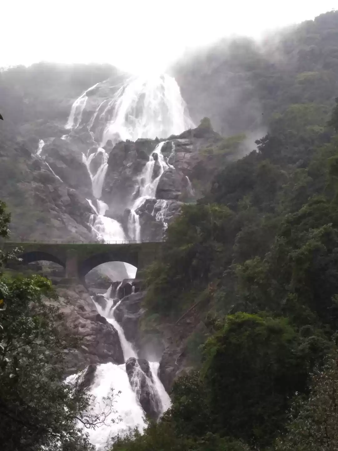 Photo of The majestic dudhsag