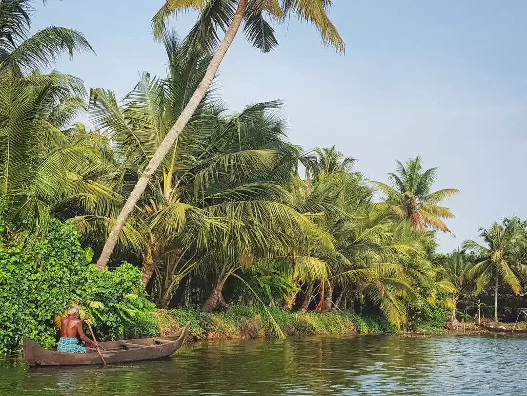 Photo of Three Days In Kerala