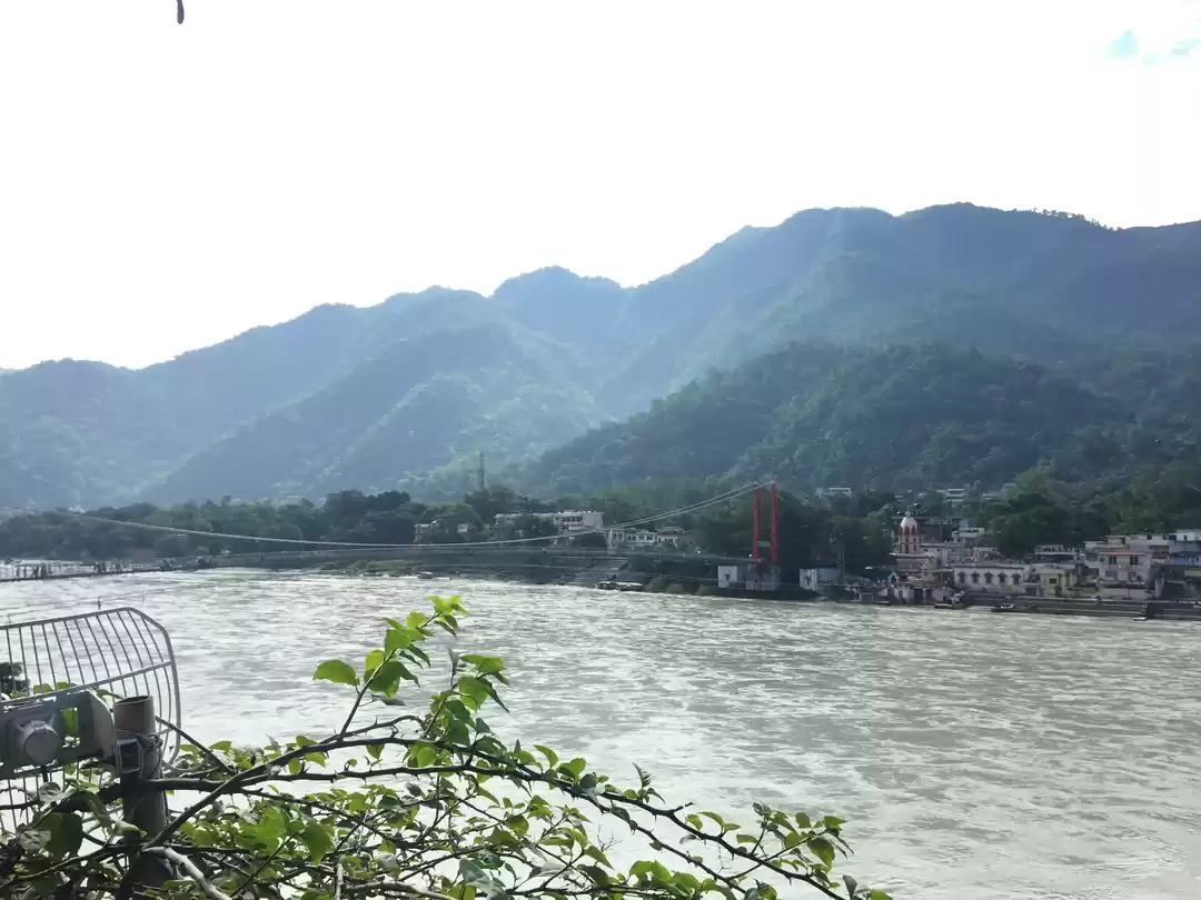 Photo of 7 reasons why foreig