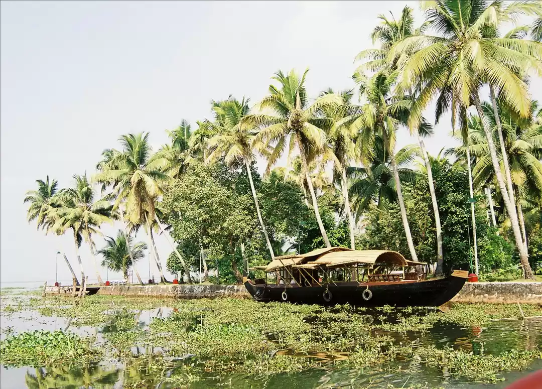 Photo of Created Using A 200-